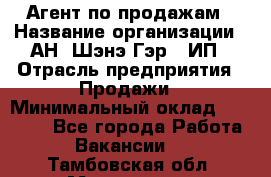 Агент по продажам › Название организации ­ АН "Шэнэ Гэр", ИП › Отрасль предприятия ­ Продажи › Минимальный оклад ­ 45 000 - Все города Работа » Вакансии   . Тамбовская обл.,Моршанск г.